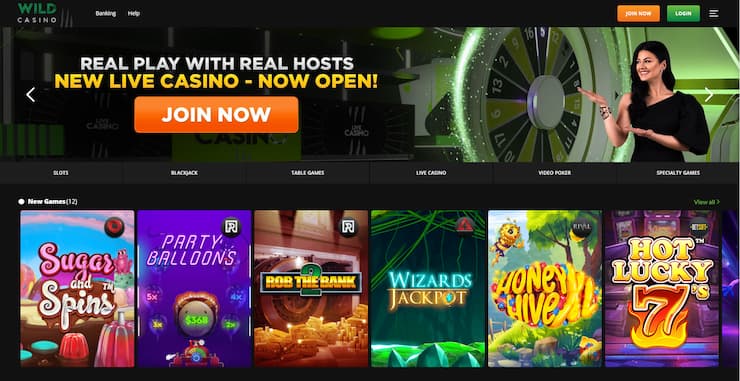 Wild Casino Homepage - Step 1